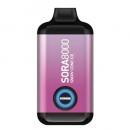 Snow Cone Ice(スノー・コーン・アイス) Sora 8000