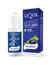 Blueberry(ブルーベリー)  ニコチン入リキッド30ml