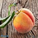 Peach(ピーチ) ニコチン0mgリキッド 10ml