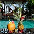 Maui(マウイ) ニコチン入りリキッド30ml