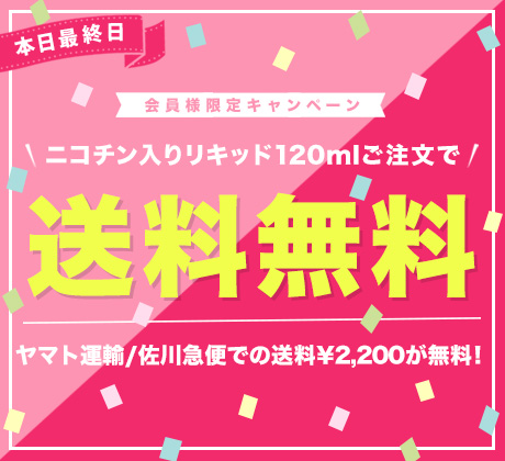 送料無料 最終日