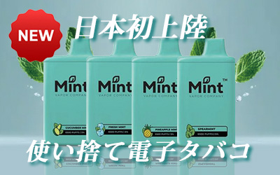 Mint新登場