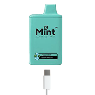 Mint充電方法